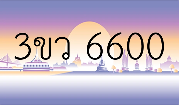 3ขว 6600